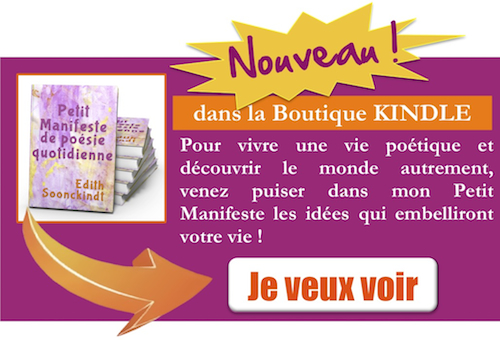 Banniere-wp-insert-manifeste